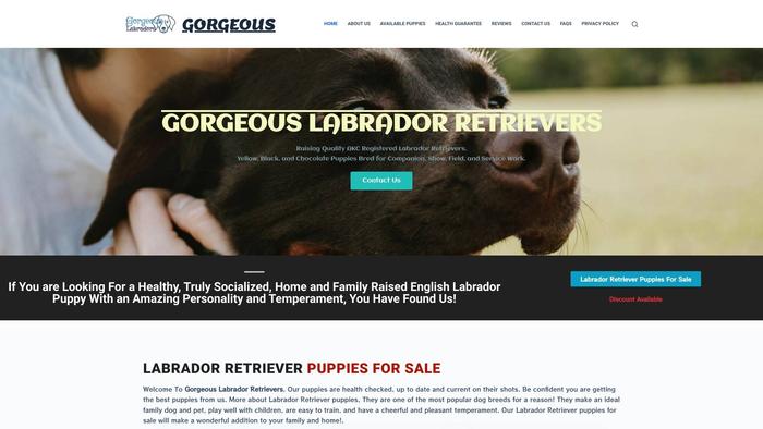 Gorgeouslabradorretrievers.com - Golden Retriever Puppy Scam Review