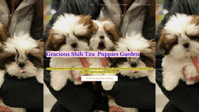 Gracioushihtzupuppies.com - Shihtzu Puppy Scam Review