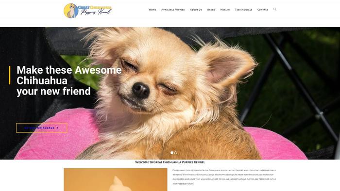 Greatchihuahuapups.com.au - Chihuahua Puppy Scam Review