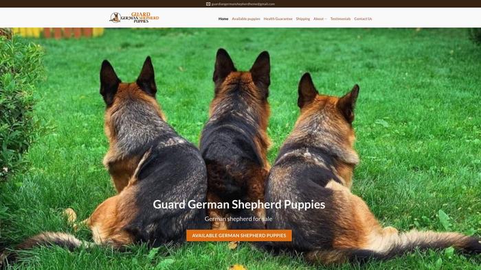 Guardgermanshepherdpuppies.com - Germanshepherd Puppy Scam Review