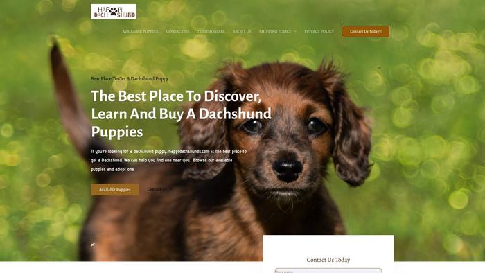 Happidachshunds.com - Dachshund Puppy Scam Review