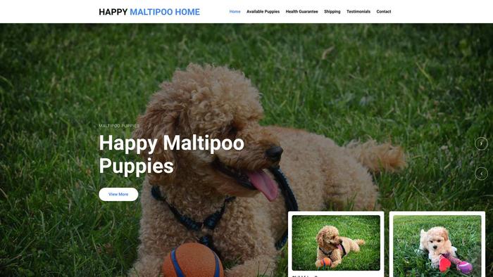 Happymaltipohme.com - Maltipoo Puppy Scam Review