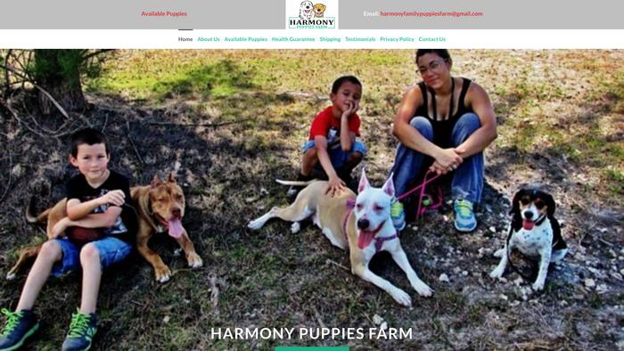 Harmonyfamilypuppiesfarm.com - Chowchow Puppy Scam Review