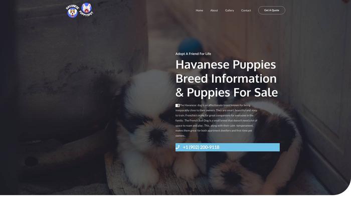 Havanesepuppyspot.com - Havanese Puppy Scam Review