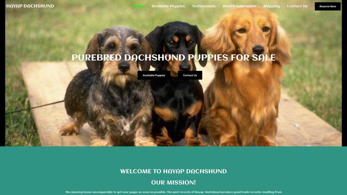 Hayapdachshund.com - Dachshund Puppy Scam Review