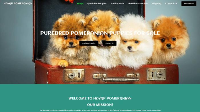 Hayappomeranian.com - Pomeranian Puppy Scam Review