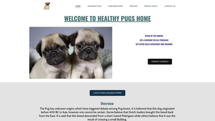 Healthypugpuppieshome.com - Pug Puppy Scam Review