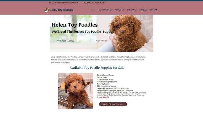 Helentoypoodles.com - Poodle Puppy Scam Review