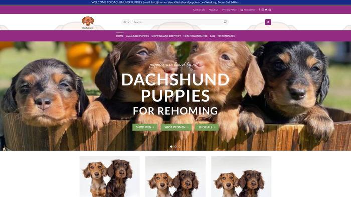 Home-raiseddachshundpuppies.com - Dachshund Puppy Scam Review