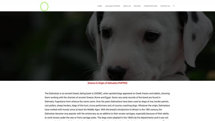 Homeraiseddalmatian.com - Labrador Puppy Scam Review