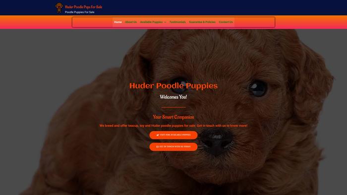 Huderpoodlepupsforsale.com - Poodle Puppy Scam Review