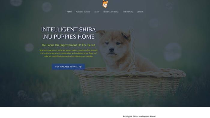 Intelligentshibainu.com - Shibhainu Puppy Scam Review