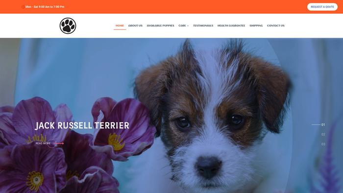 Jackrussellhomes.com - Jack Russell Terrier Puppy Scam Review