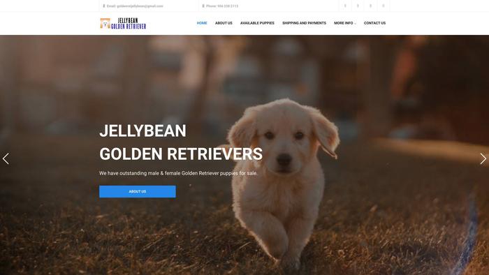 Jellybeangoldenretriever.com - Golden Retriever Puppy Scam Review