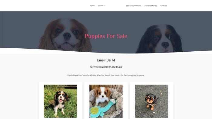 Karensacavaliers.com - Cavalier King Charles Spaniel Puppy Scam Review