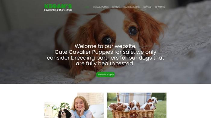 Keganscavalierkingcharlespups.com - Cavalier King Charles Spaniel Puppy Scam Review