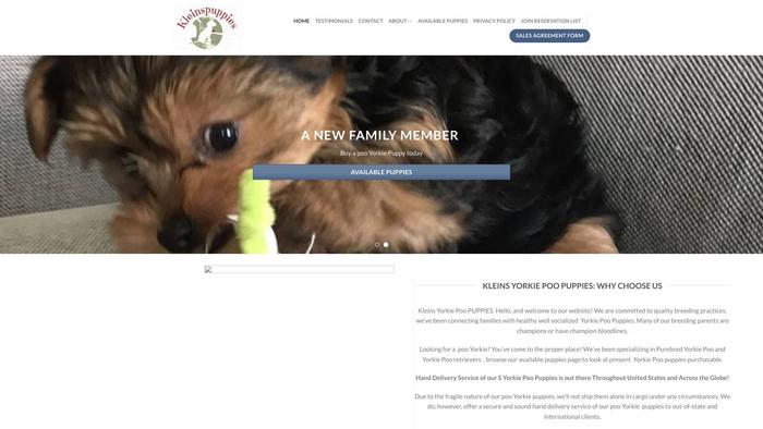 Kleinspuppies.com - Yorkshire Terrier Puppy Scam Review