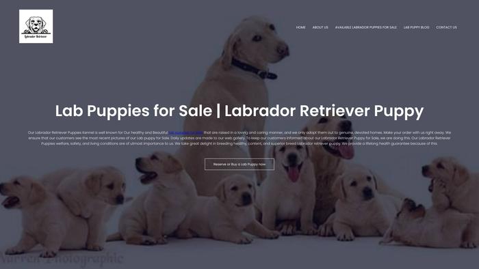 Labpuppybreeder.com - Labrador Puppy Scam Review