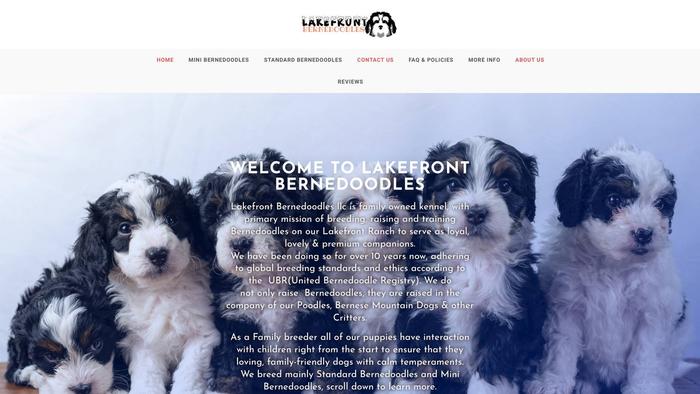 Lakefrontbernedoodles.com - Bernedoodle Puppy Scam Review