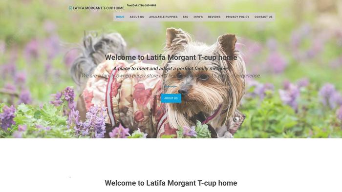 Latifamorgantyorkies.com - Yorkshire Terrier Puppy Scam Review