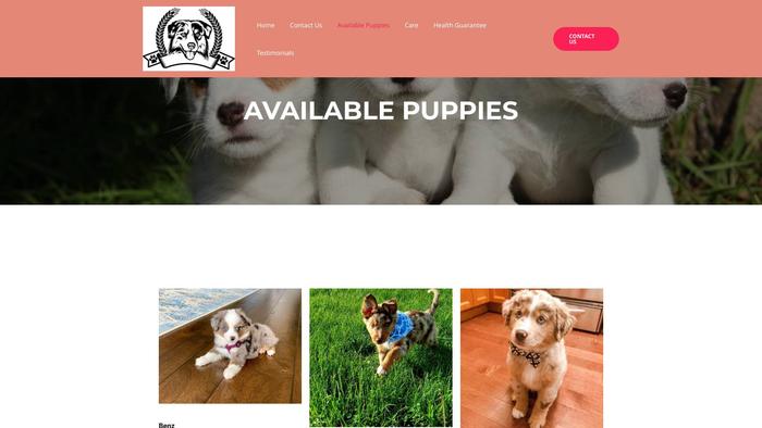 Lepsiaussiepuppies.com - Australian Shepherd Puppy Scam Review