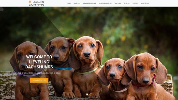 Lievelingsdachshunds.com - Dachshund Puppy Scam Review