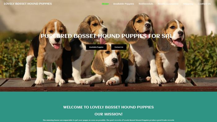 Lovelybassethoundpuppies.com - Bassethound Puppy Scam Review