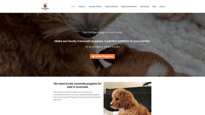 Lovelycavoodlepuppies.com - Cavapoo Puppy Scam Review