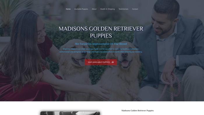 Madisonsgoldenretrieverpuppies.com - Golden Retriever Puppy Scam Review