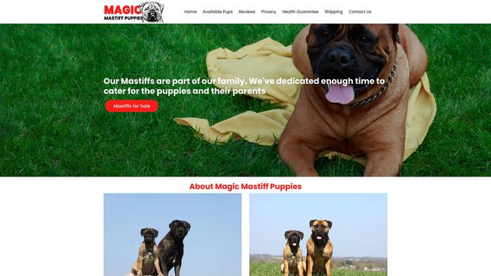 Magicmastiffpuppies.com - Tibetan Mastiff Puppy Scam Review