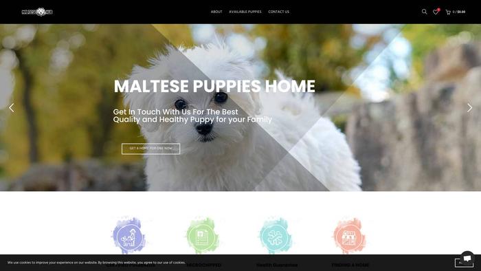 Maltesehub.com - Maltese Puppy Scam Review