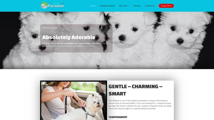 Malteseparadise.org - Maltese Puppy Scam Review