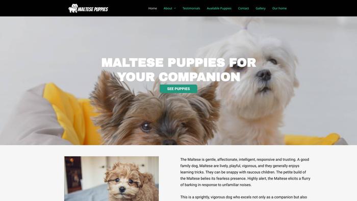 Maltesepupbreeders.com - Maltese Puppy Scam Review