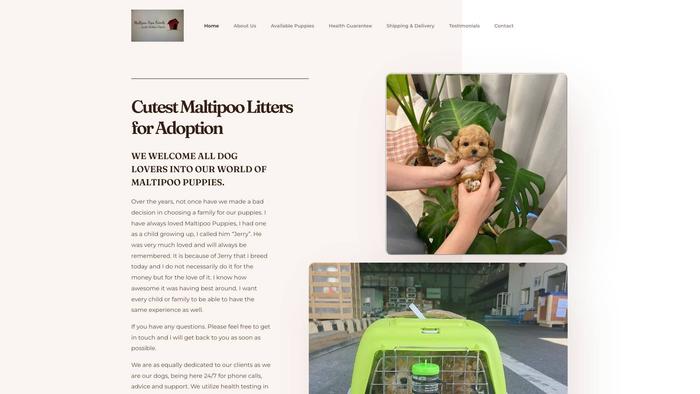 Maltipoopupsfamily.com - Maltipoo Puppy Scam Review