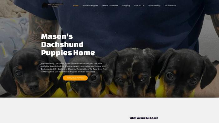 Masonsdachshundpuppies.com - Dachshund Puppy Scam Review