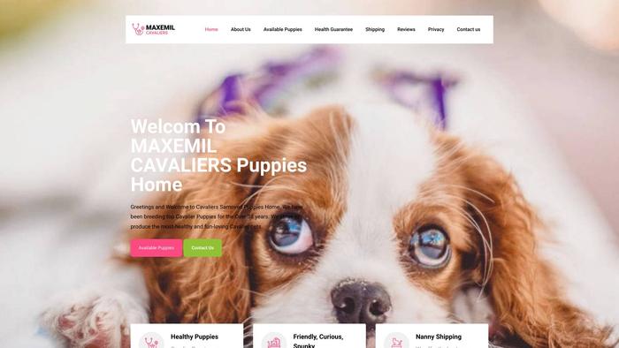 Maxemilcavaliers.com - Cavalier King Charles Spaniel Puppy Scam Review