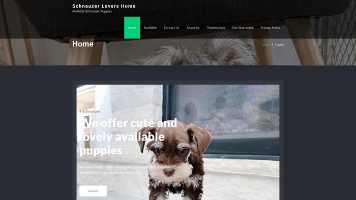 Mbpupslovershome.com - Schnauzer Puppy Scam Review