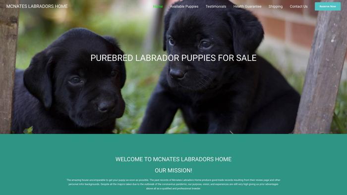 Mcnateslabradorshome.com - Labrador Puppy Scam Review