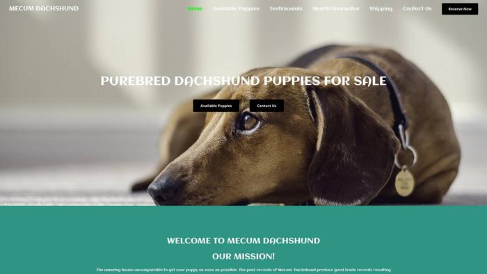 Mecumdachshund.com - Dachshund Puppy Scam Review