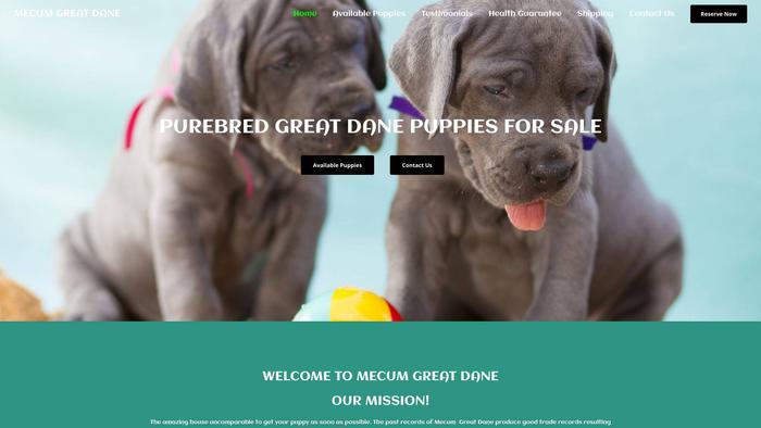 Mecumgreatdane.com - Great Dane Puppy Scam Review