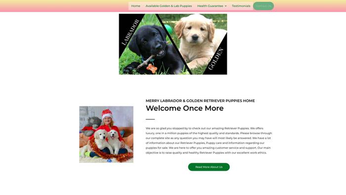 Merryretrieverpuppies.com - Golden Retriever Puppy Scam Review