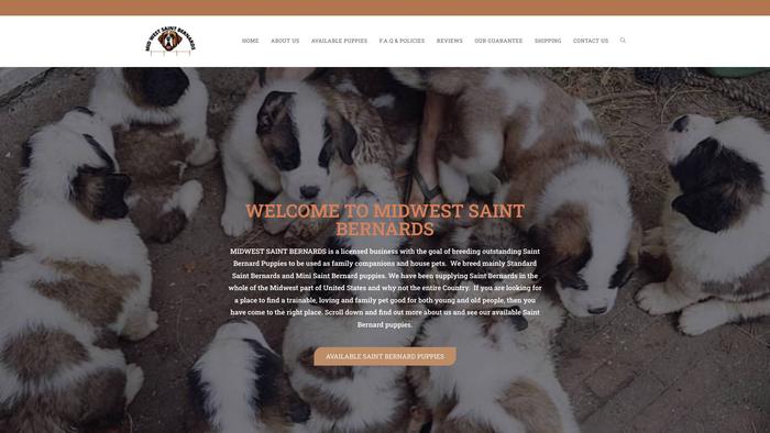 Midwestsaintbernards.com - Saint Bernard Puppy Scam Review