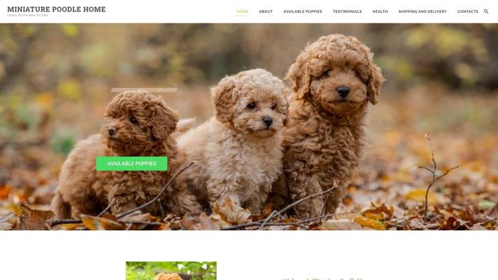 Miniaturepoodlehome.com - Poodle Puppy Scam Review