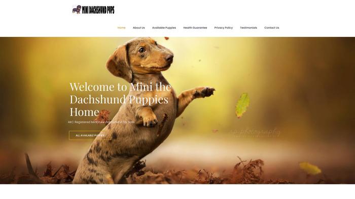 Minidachshundpupshome.com - Dachshund Puppy Scam Review