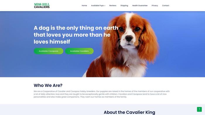 Misshillcavaliers.com - Cavalier King Charles Spaniel Puppy Scam Review