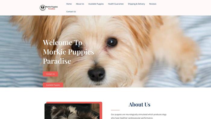 Morkiepupsparadise.com - Yorkshire Terrier Puppy Scam Review