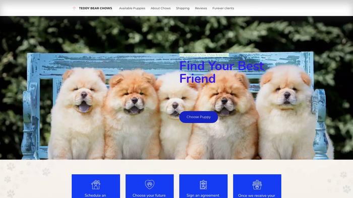 Mrrenfroteddybearchows.com - Chowchow Puppy Scam Review