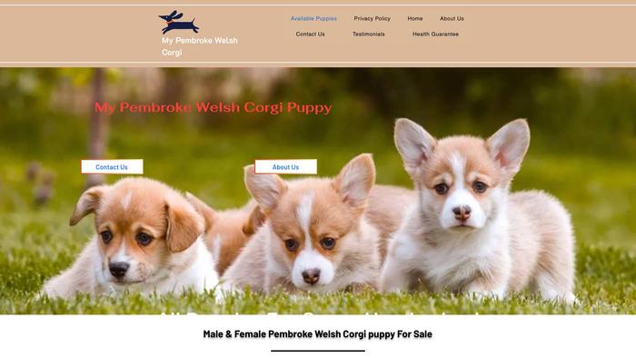 Mycorgihome.com - Corgi Puppy Scam Review