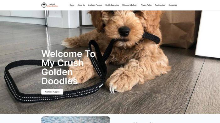 Mycrushgoldendoodles.com - Golden Doodle Puppy Scam Review