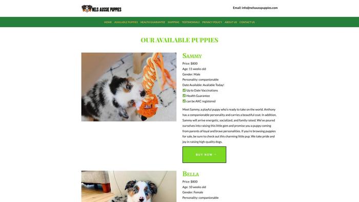 Nelsausspuppies.com - Australian Shepherd Puppy Scam Review